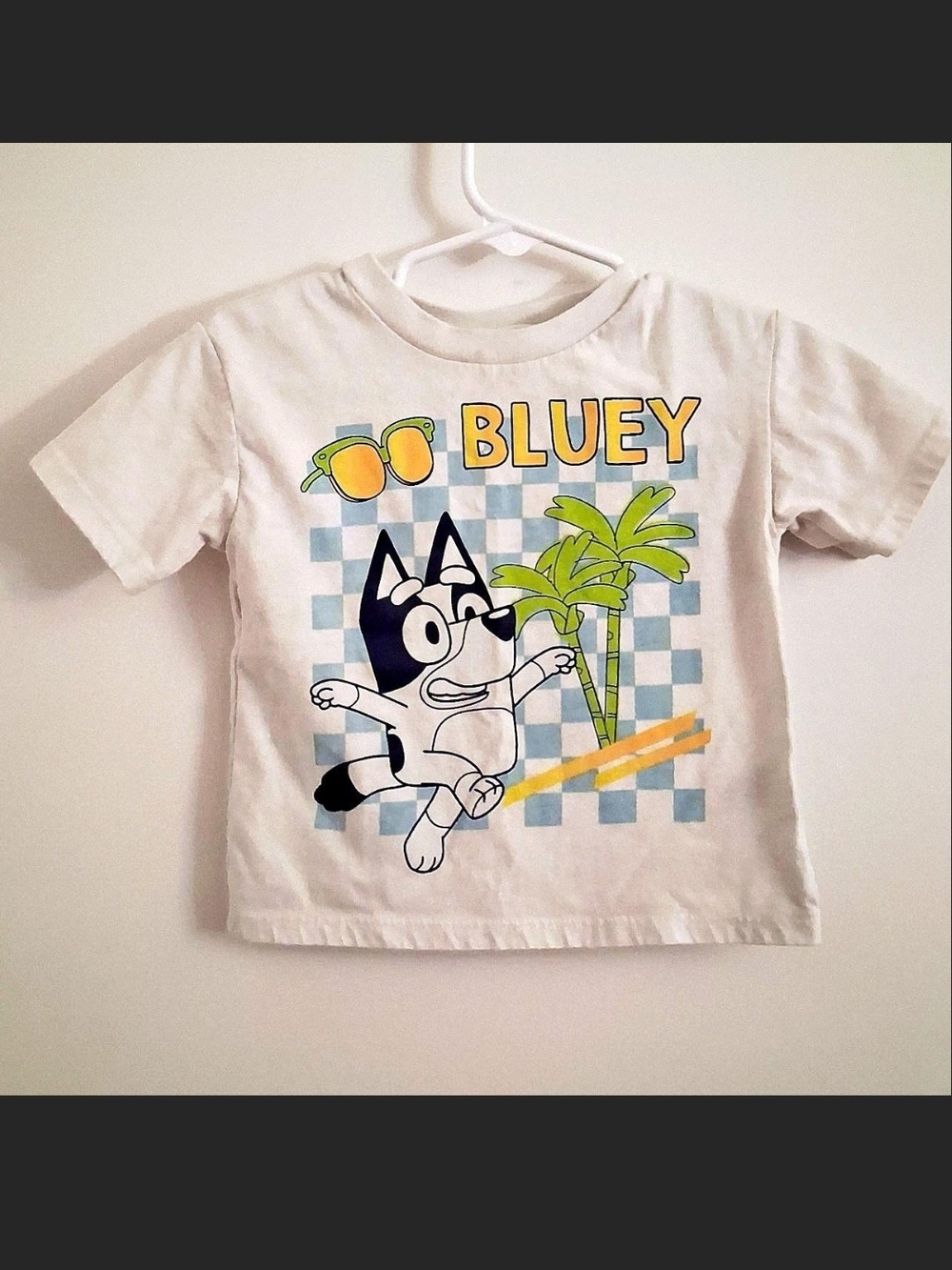 Bluey White & Blue Checkered Graphic Tee Size 18M